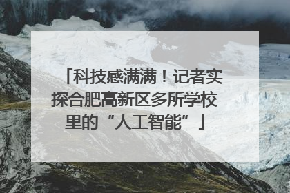 科技感满满！记者实探合肥高新区多所学校里的“人工智能”