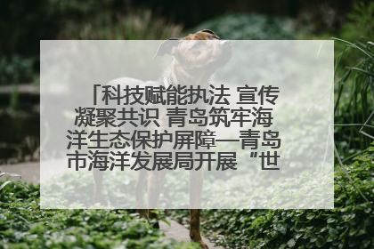 科技赋能执法 宣传凝聚共识 青岛筑牢海洋生态保护屏障—青岛市海洋发展局开展“世界海洋日”和“全国海洋宣传日”宣传活动