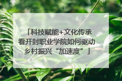 科技赋能+文化传承 看开封职业学院如何驱动乡村振兴“加速度”
