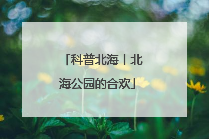 科普北海丨北海公园的合欢