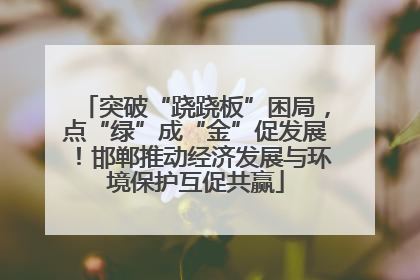突破“跷跷板”困局，点“绿”成“金”促发展！邯郸推动经济发展与环境保护互促共赢