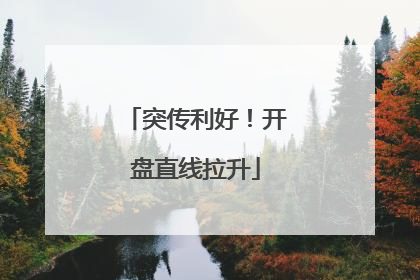 突传利好！开盘直线拉升