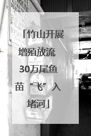 竹山开展增殖放流 30万尾鱼苗“飞”入堵河