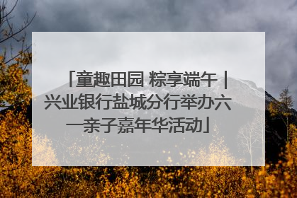 童趣田园 粽享端午｜兴业银行盐城分行举办六一亲子嘉年华活动