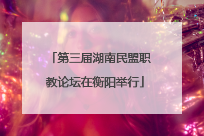 第三届湖南民盟职教论坛在衡阳举行