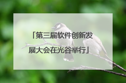 第三届软件创新发展大会在光谷举行