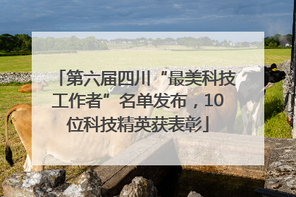 第六届四川“最美科技工作者”名单发布，10位科技精英获表彰