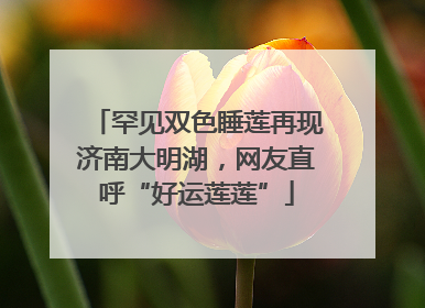罕见双色睡莲再现济南大明湖，网友直呼“好运莲莲”