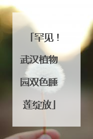 罕见！武汉植物园双色睡莲绽放