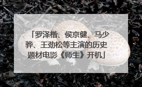 罗泽楷、侯京健、马少骅、王劲松等主演的历史题材电影《师生》开机