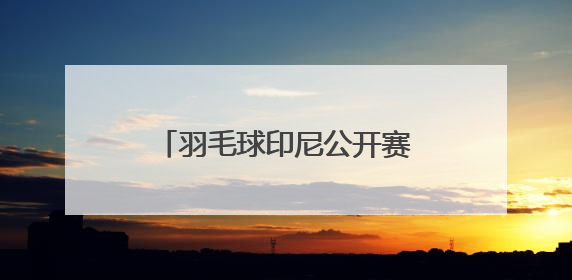 羽毛球印尼公开赛｜王祉怡不敌安洗莹 获得女单亚军