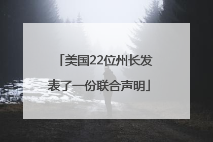 美国22位州长发表了一份联合声明
