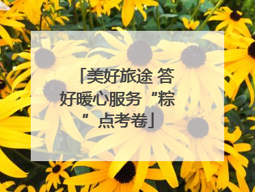 美好旅途 答好暖心服务“粽”点考卷