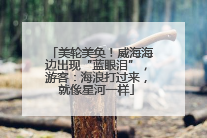 美轮美奂！威海海边出现“蓝眼泪”，游客：海浪打过来，就像星河一样