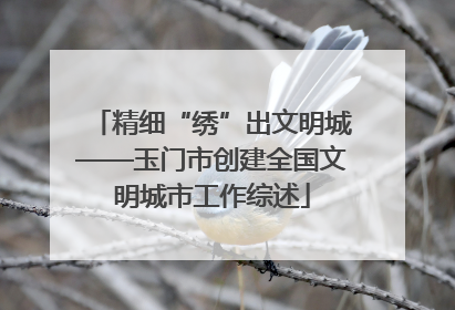 精细“绣”出文明城——玉门市创建全国文明城市工作综述