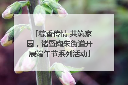 粽香传情 共筑家园，诸暨陶朱街道开展端午节系列活动