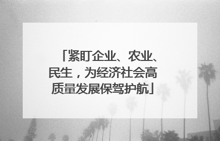 紧盯企业、农业、民生，为经济社会高质量发展保驾护航