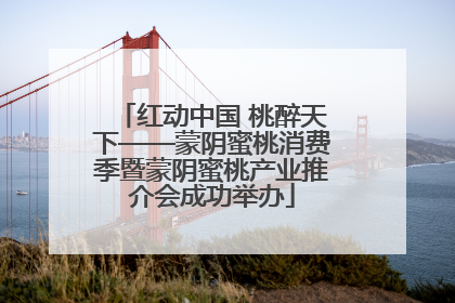 红动中国 桃醉天下——蒙阴蜜桃消费季暨蒙阴蜜桃产业推介会成功举办