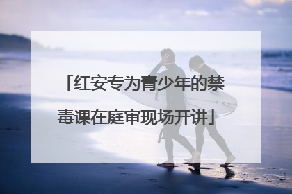 红安专为青少年的禁毒课在庭审现场开讲