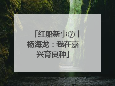 红船新事⑦丨杨海龙：我在嘉兴育良种