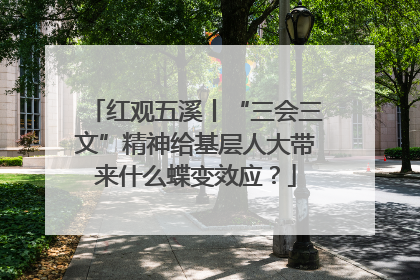 红观五溪丨“三会三文”精神给基层人大带来什么蝶变效应？
