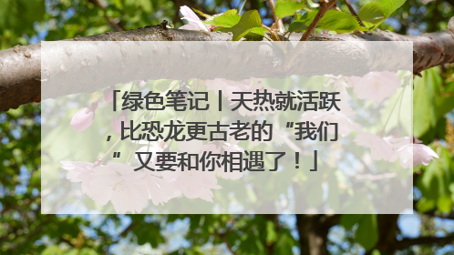 绿色笔记丨天热就活跃，比恐龙更古老的“我们”又要和你相遇了！