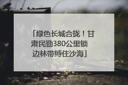 绿色长城合拢！甘肃民勤380公里锁边林带缚住沙海