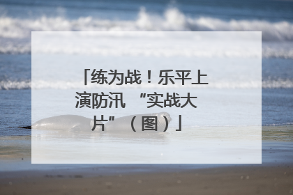 练为战！乐平上演防汛 “实战大片”（图）
