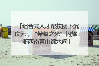 组合式人才帮扶团下沉庆元，“希望之光”闪耀浙西南青山绿水间