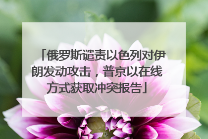 俄罗斯谴责以色列对伊朗发动攻击，普京以在线方式获取冲突报告