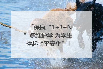 保康“1+3+N”多维护学 为学生撑起“平安伞”
