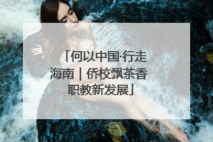 何以中国·行走海南｜侨校飘茶香 职教新发展