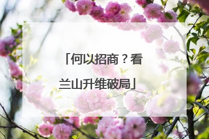 何以招商？看兰山升维破局