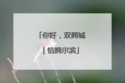 你好，双拥城｜情拥尔滨