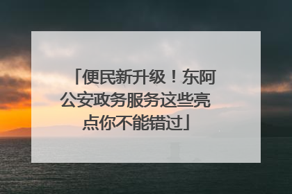 便民新升级！东阿公安政务服务这些亮点你不能错过