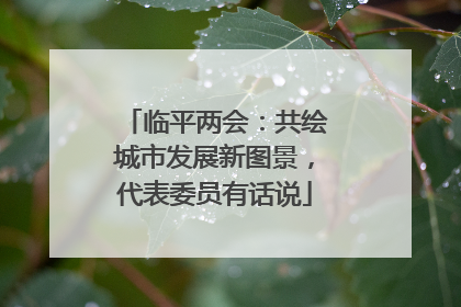临平两会：共绘城市发展新图景，代表委员有话说