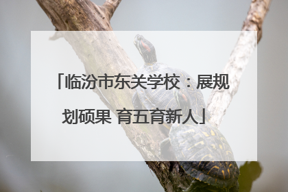 临汾市东关学校：展规划硕果 育五育新人
