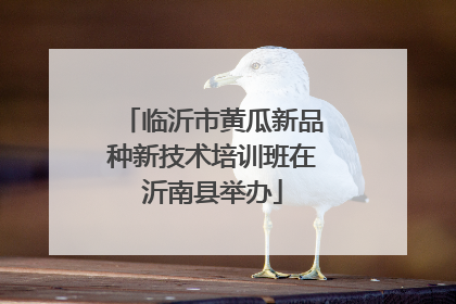 临沂市黄瓜新品种新技术培训班在沂南县举办