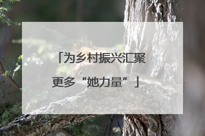 为乡村振兴汇聚更多“她力量”