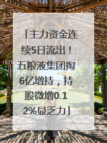 主力资金连续5日流出！五粮液集团掏6亿增持，持股微增0.12%显乏力
