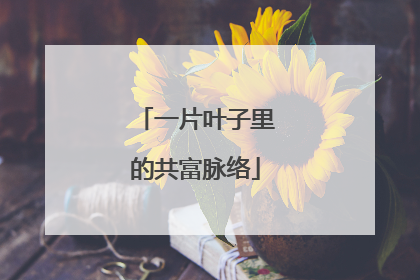 一片叶子里的共富脉络