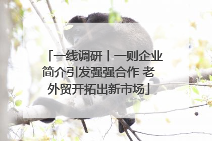 一线调研丨一则企业简介引发强强合作 老外贸开拓出新市场