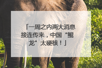 一周之内两大消息接连传来，中国“鲲龙”太硬核！