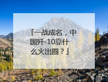一战成名，中国歼-10靠什么火出圈？