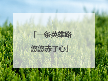 一条英雄路 悠悠赤子心