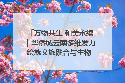 万物共生 和美永续｜华侨城云南多维发力 绘就文旅融合与生物多样性保护新图景