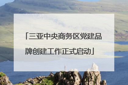 三亚中央商务区党建品牌创建工作正式启动