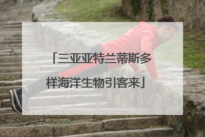 三亚亚特兰蒂斯多样海洋生物引客来