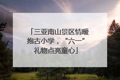 三亚南山景区情暖抱古小学，“六一”礼物点亮童心
