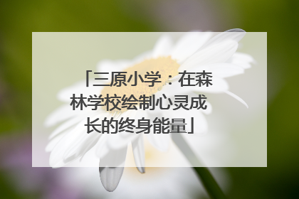 三原小学：在森林学校绘制心灵成长的终身能量